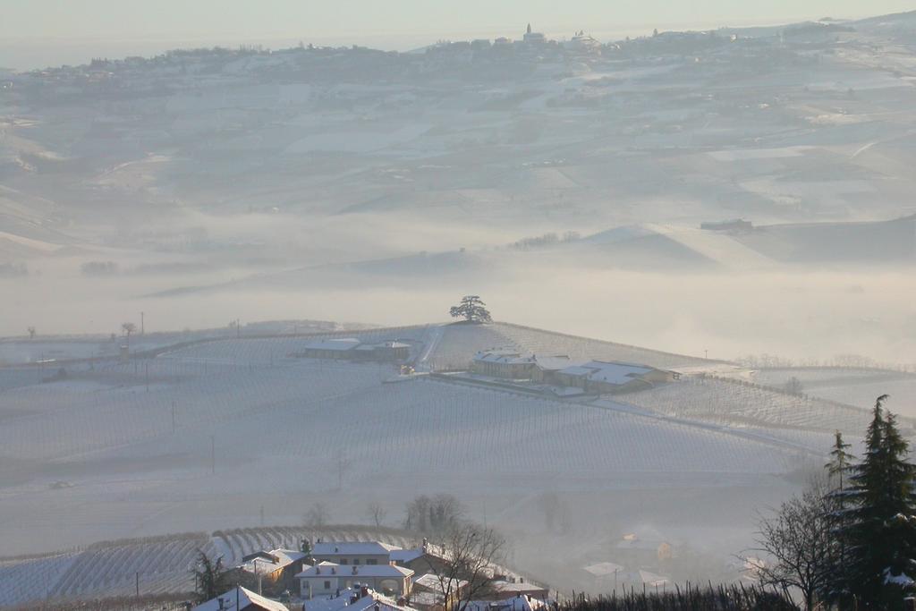 Cascina Rocca Agriturismo B&B La Morra Extérieur photo